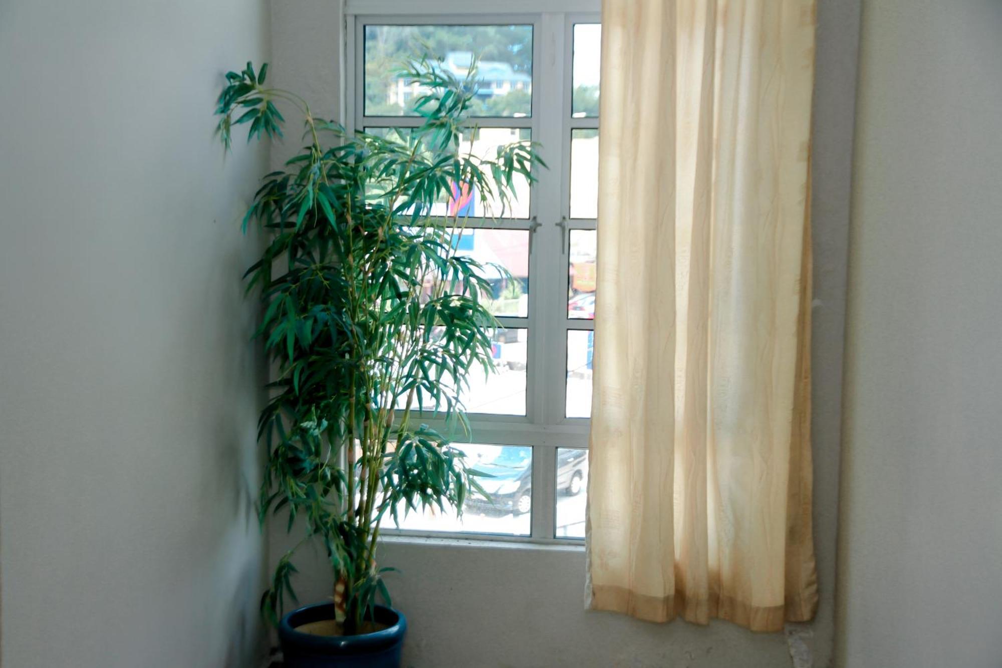 Hotel D View מרסינג מראה חיצוני תמונה